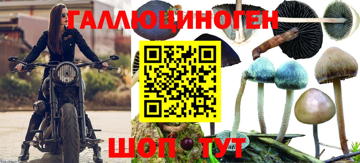 Галлюциногенные грибы мицелий Знаменск